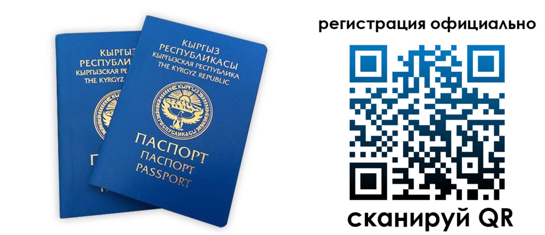 прописка поиск в Карасуке
